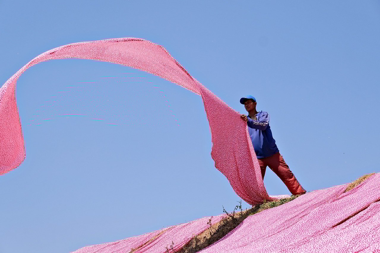 Mexico's La Guelaguetza - A Celebration of Indigenous Cultures